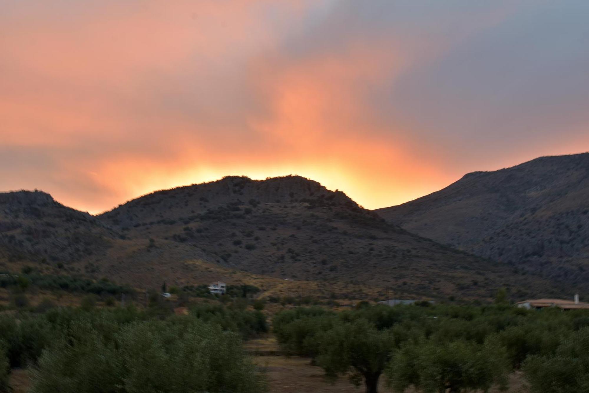Villa In The Olive Trees Galaxidi Room photo
